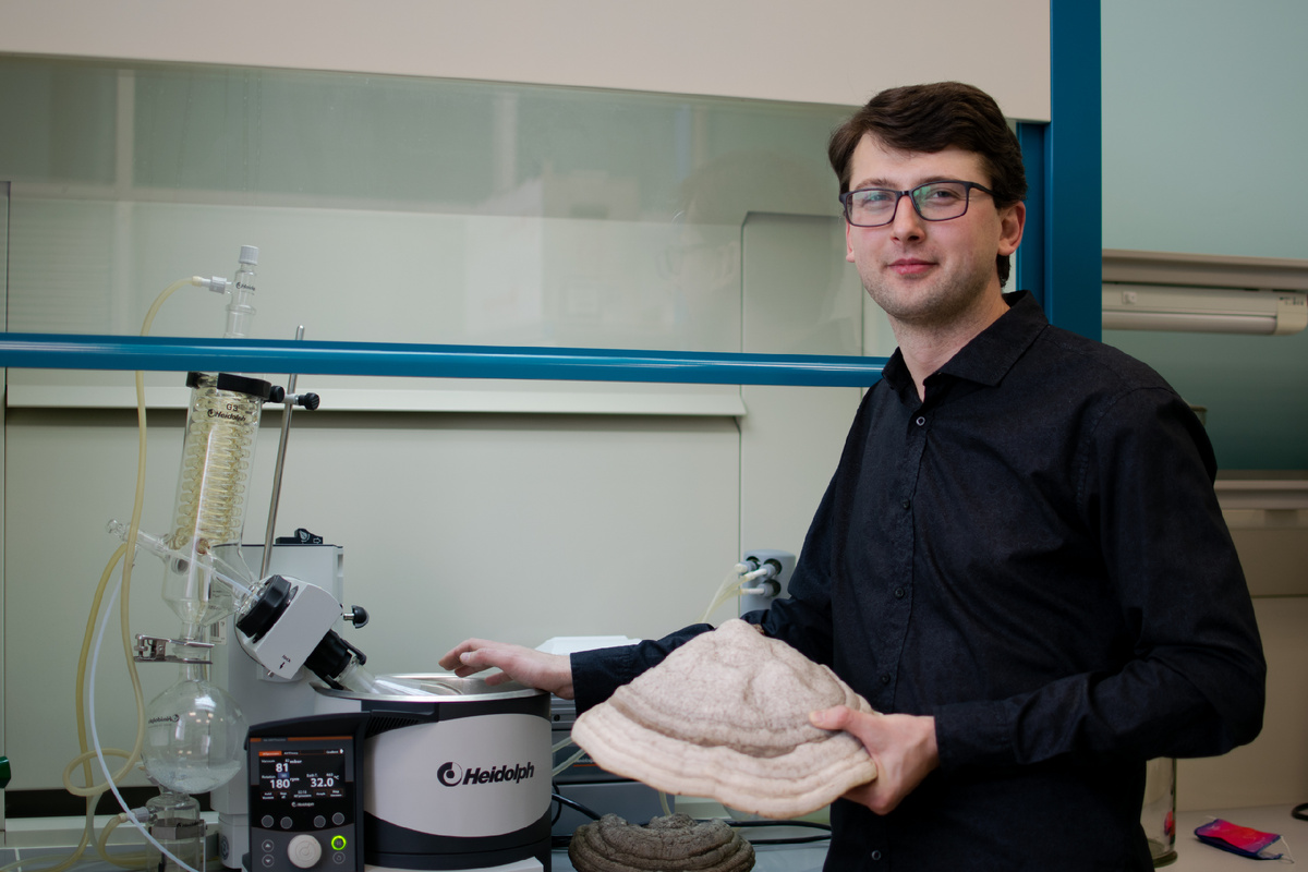 Как рассказал Александр Ермошин, трутовые грибы используют в традиционной китайской медицине более 2000 лет. Фото: пресс-служба УрФУ.