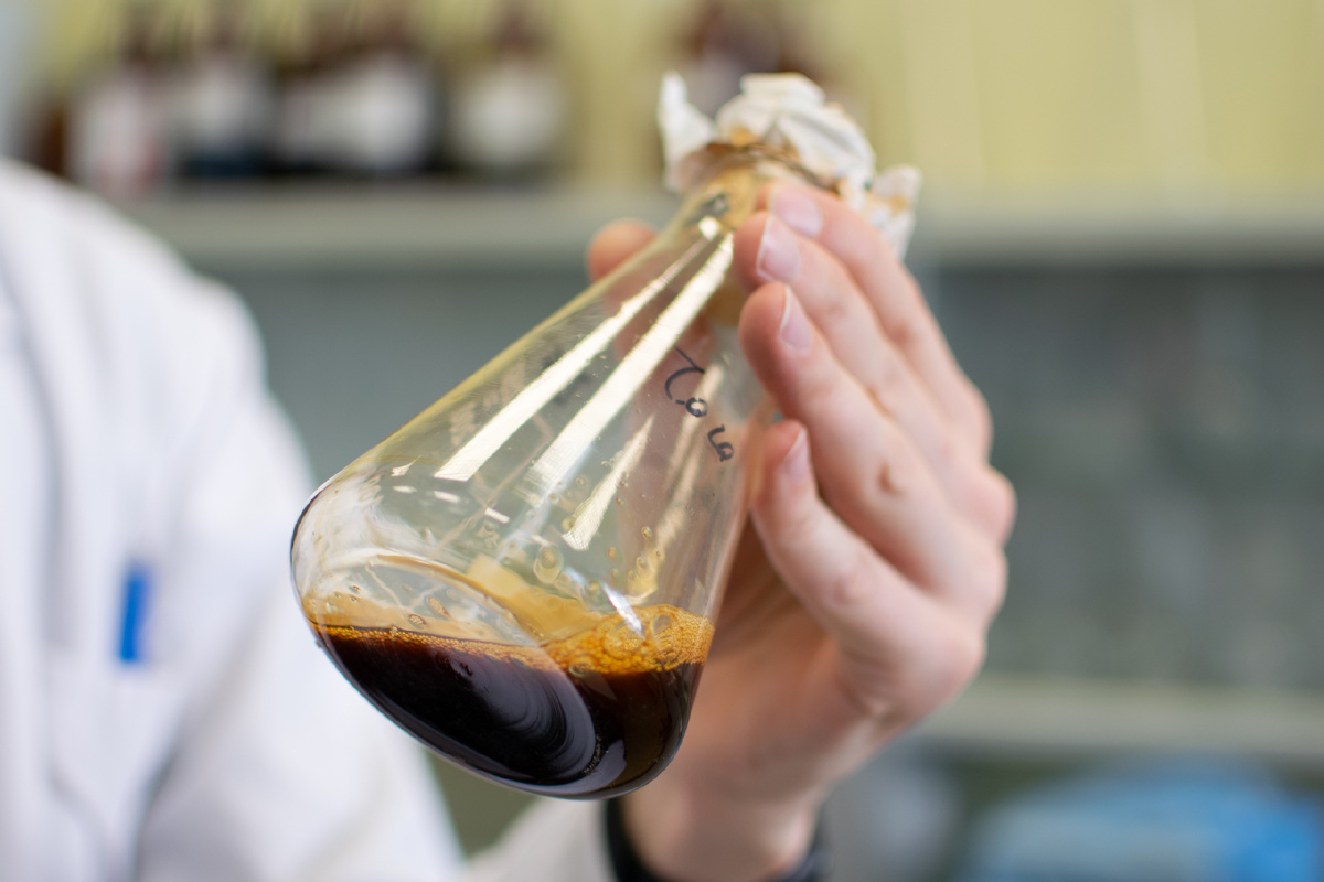 Наилучшую эффективность показала мазь с добавлением экстракта трутовика плоского. Фото: пресс-служба УрФУ.