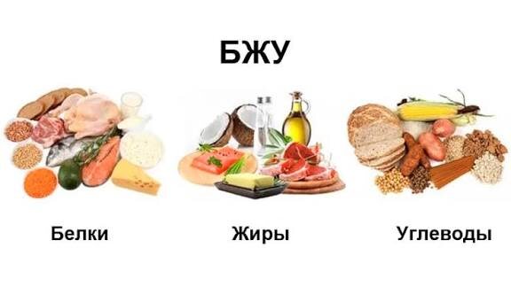 Белки, жиры, углеводы: роль и расчет нормы