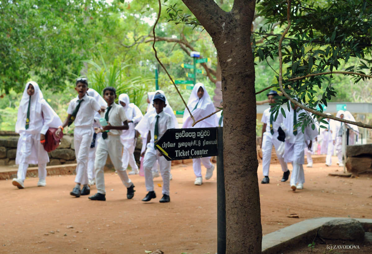 сад - парк у подножия горы