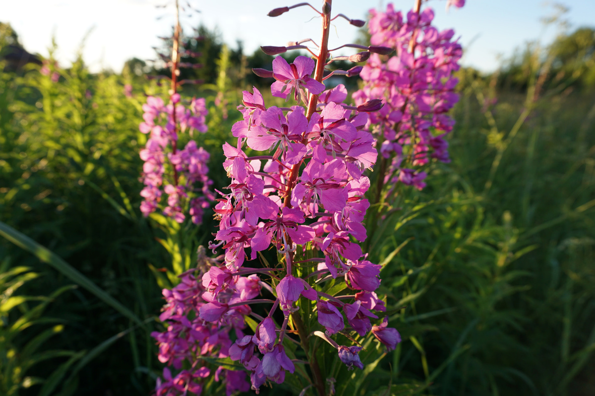 Источник фото: drive2.ru