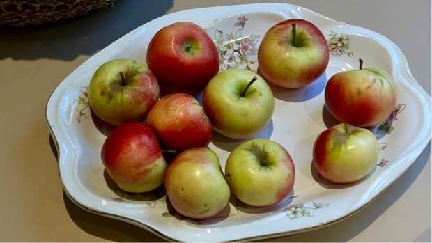 Осенний акцент: яблоки в изящной подаче.Фото автора канала