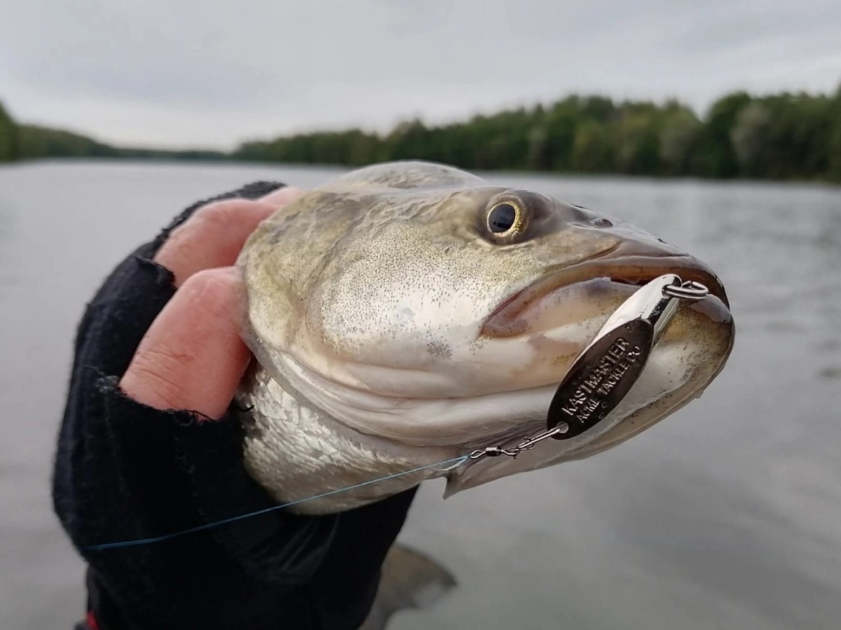 Фото: Дмитрий Соколов