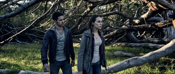 Кадр из фильма. Фото взято из открытого источника в интернете. 