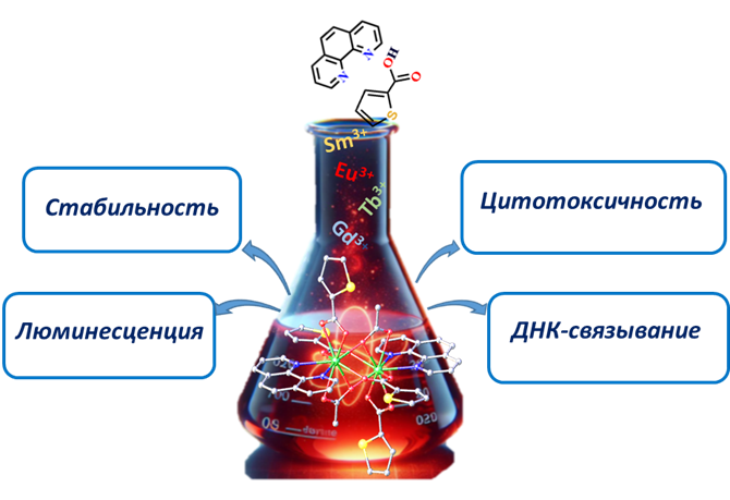 Схема. Полученные новые комплексы лантаноидов проявляют яркую люминесценцию, обладают селективной цитотоксичностью, стабильны в водных растворах и связываются с ДНК посредством интеркаляции.