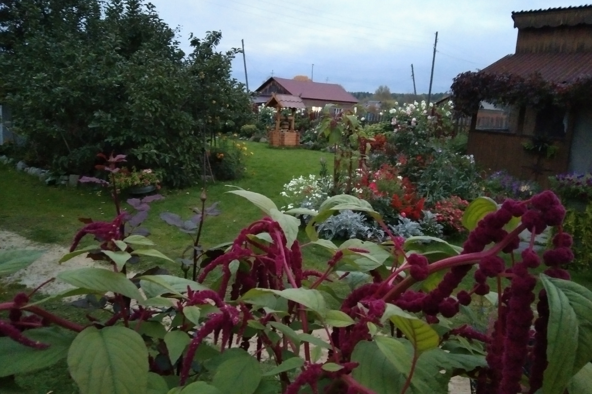 Последние теплые дни уходящего лета 2025