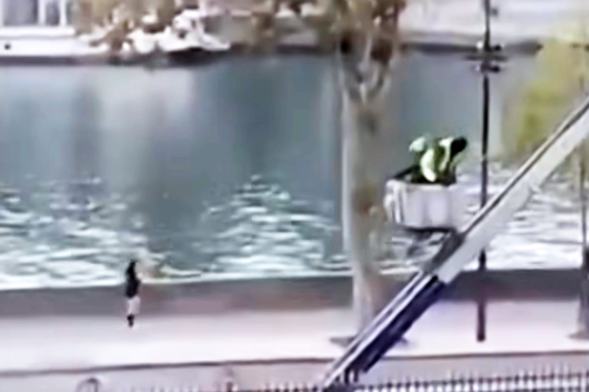    Воры покинули Лувр тем же путем, что и пришли - по лестнице подъемника./соцсети