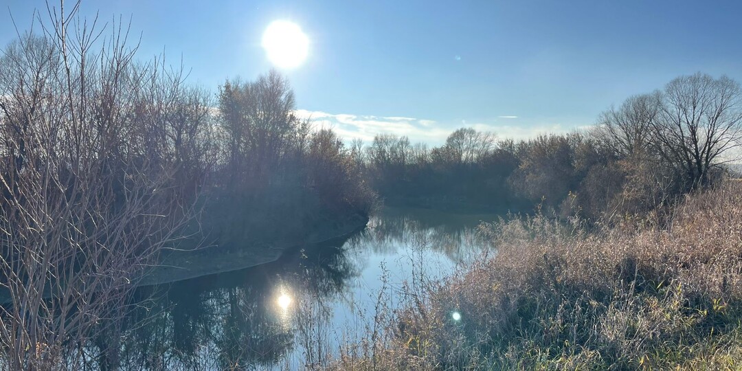 Дима,встретив на улице бывшую жену с чужим ребёнком, переводил взгляд на дочь, с сожалением оглядывая её смоляную головку и смуглую кожу.
