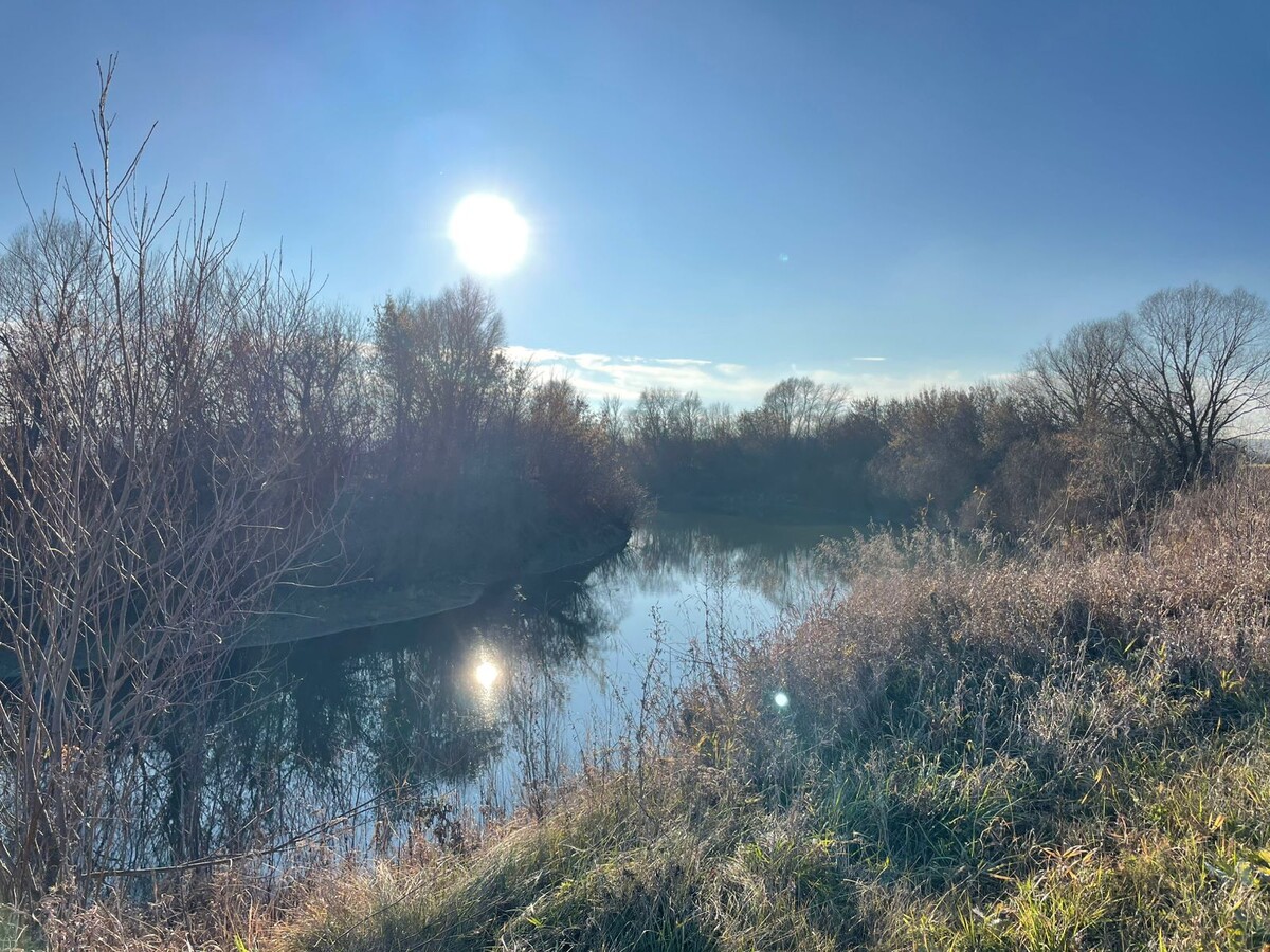 Холодное осеннее солнце. Фото Сунгатуллиной Д.