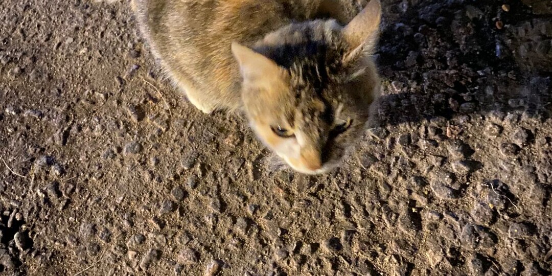 Наверное надо рубрику открывать "СРОЧНО В НОМЕР!"