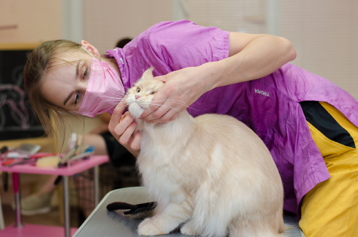 Мастер Анна в моменте практики на моём семинаре