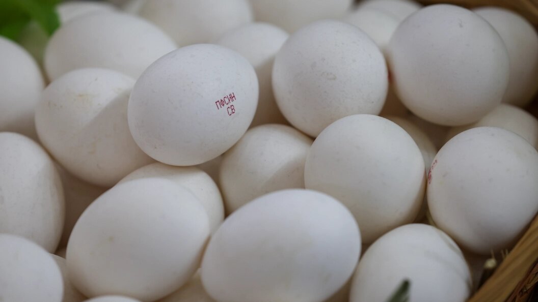    Belkin Alexey/Globallookpress