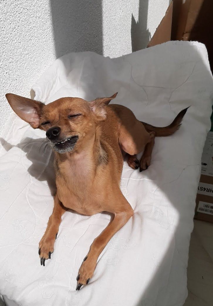 Загорает. 👌Ну разве не мачо?