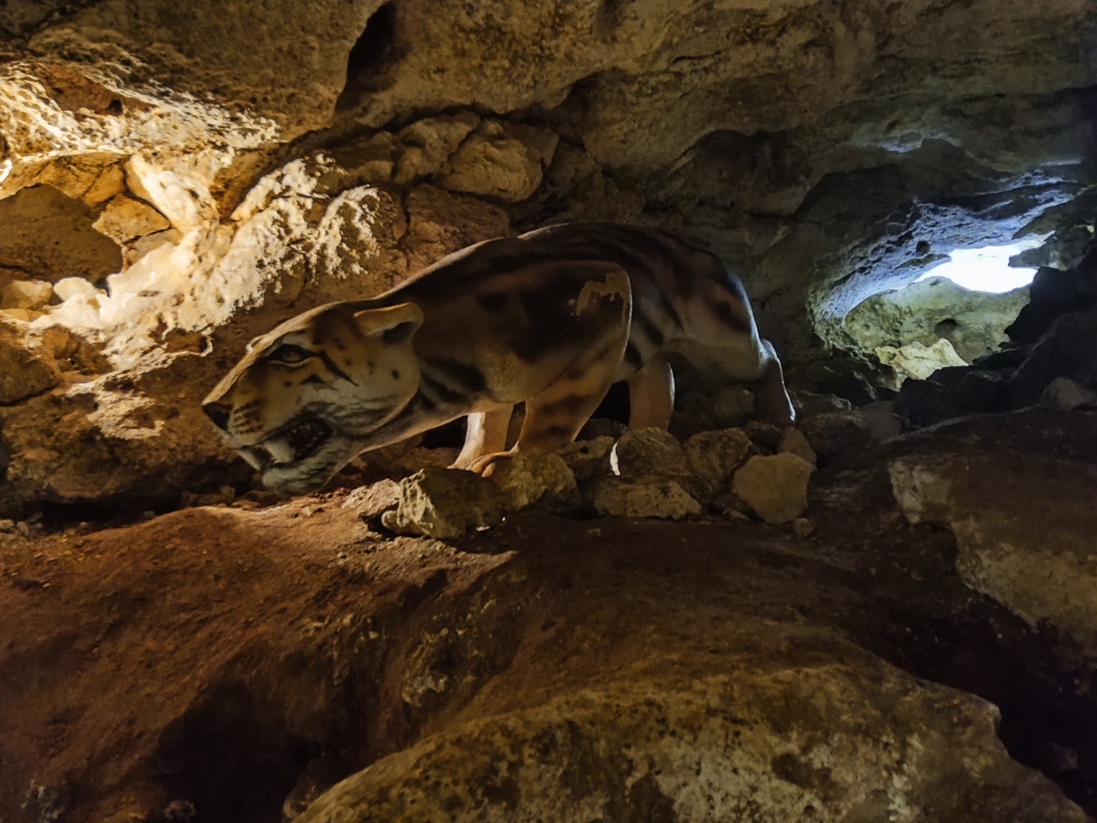 Пещера "Таврида". Фото автора