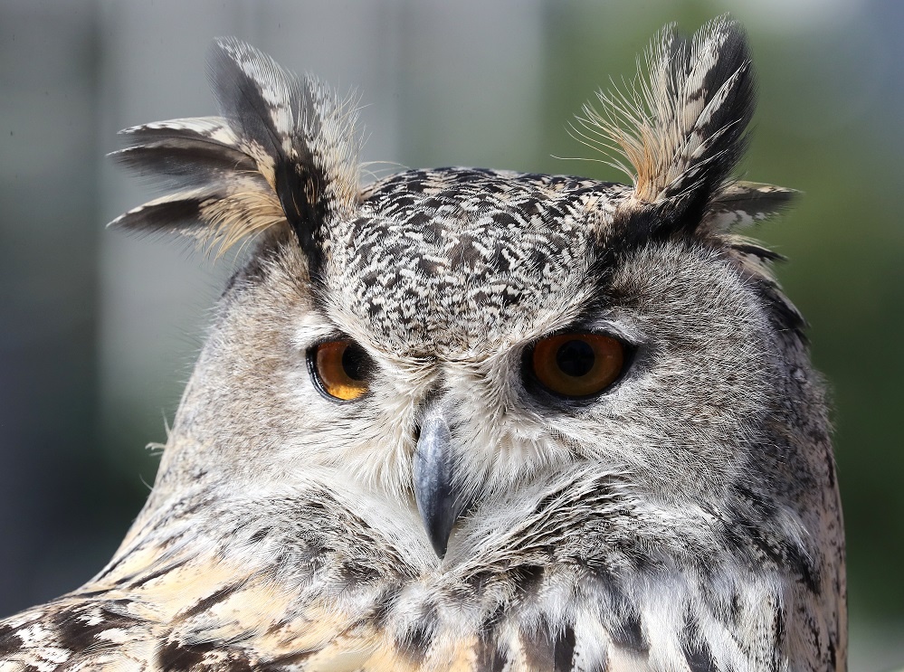 Фото: Сергей Савостьянов/ТАСС