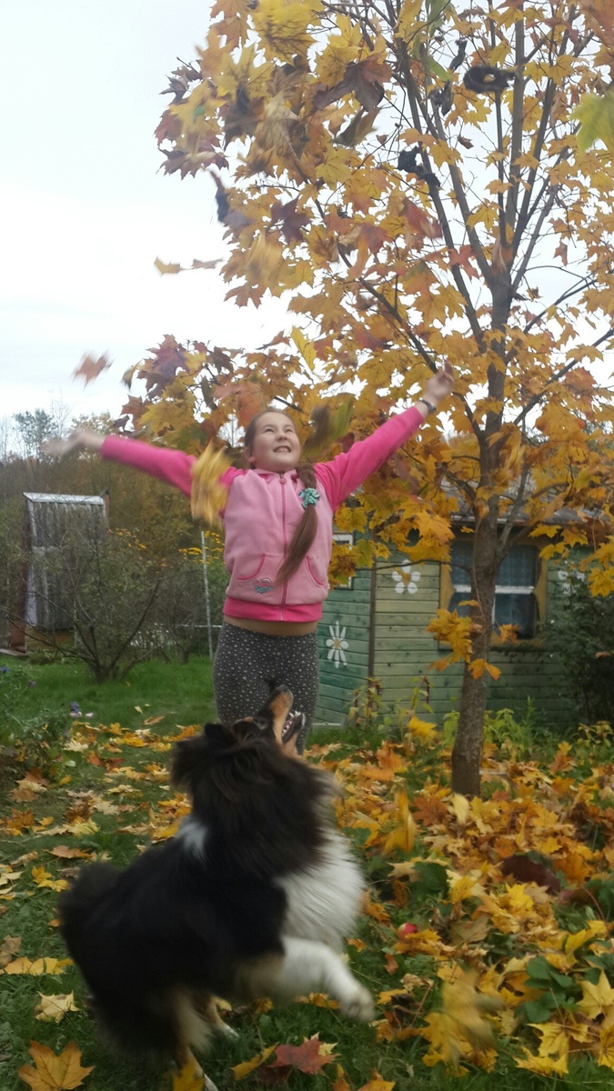    Ирина Меркова