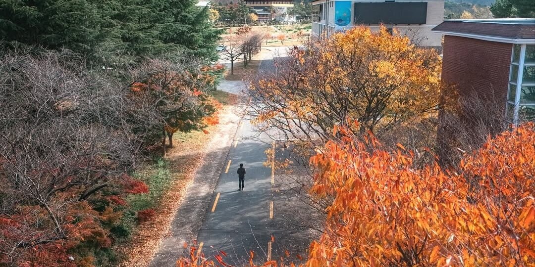 Кёнджу, Южная Корея. Осень