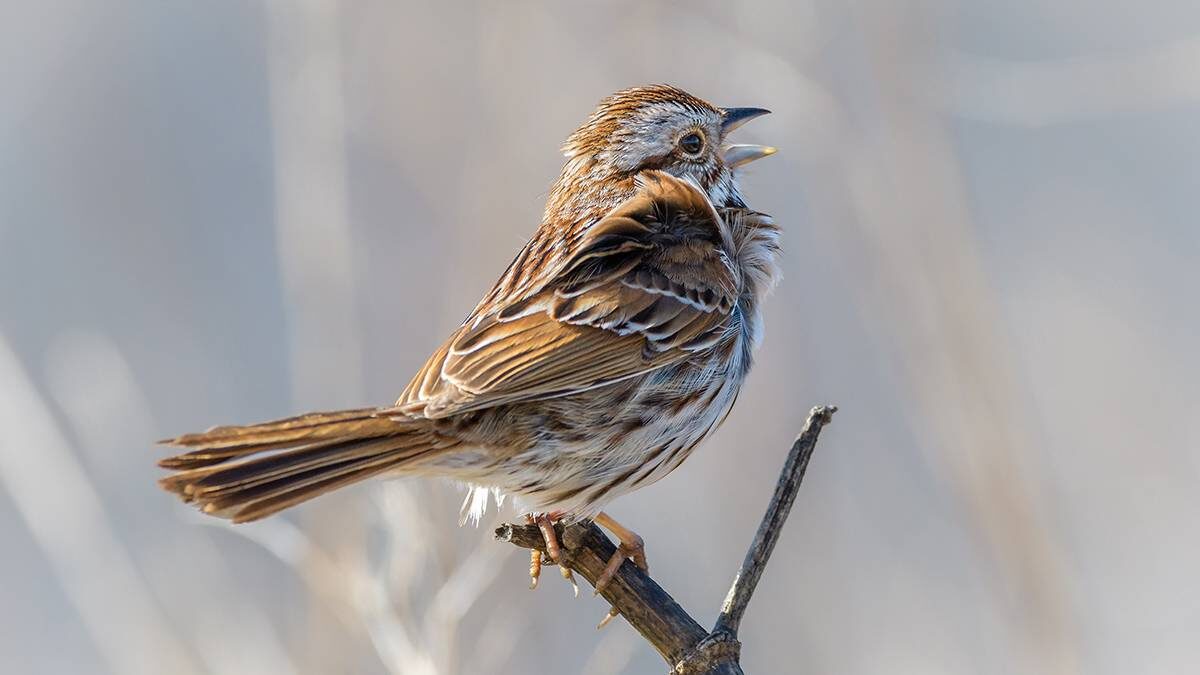    Фото: shutterstock