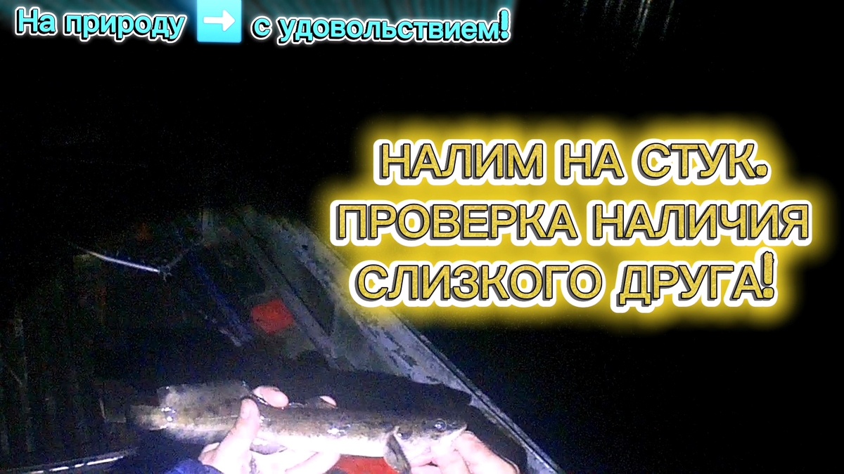 НАЛИМ. СЕЗОН 2025Г. - 2026Г. 