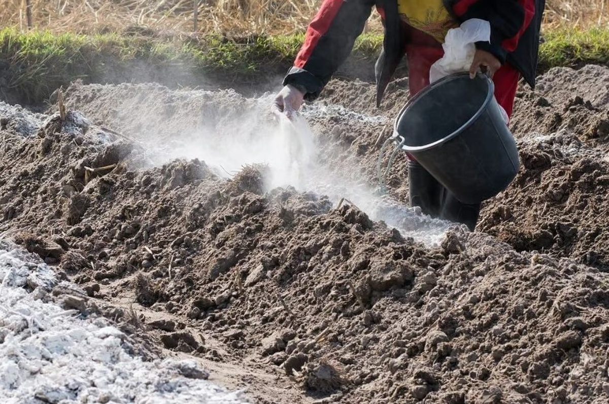 Внесение подкормки