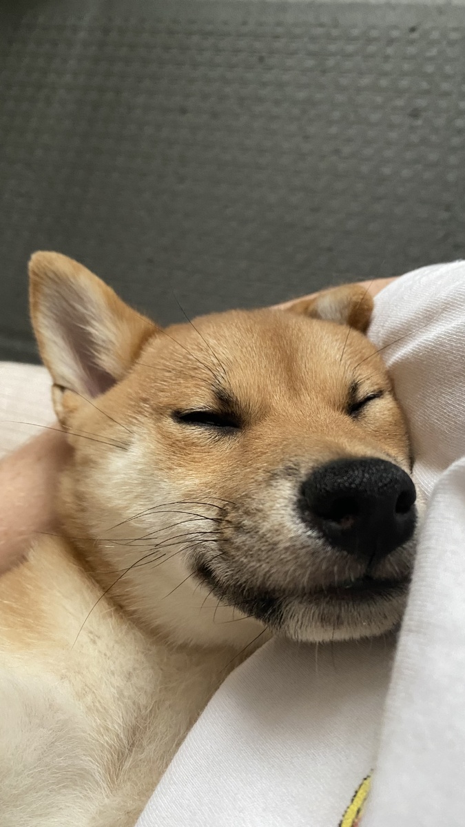 Тори любила засыпать на мамичкиных руках