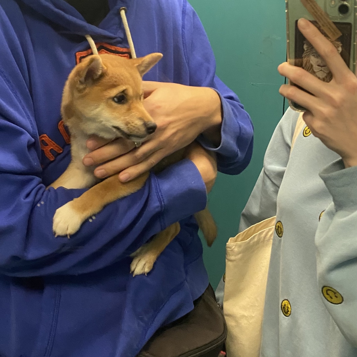 Первое семейное фото