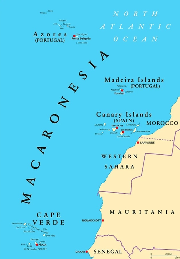 Остров Мадейра на карте. Источник: worldatlas.com