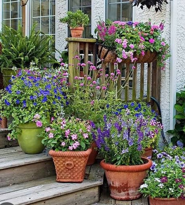 Фото из интернета.И моя мечта.