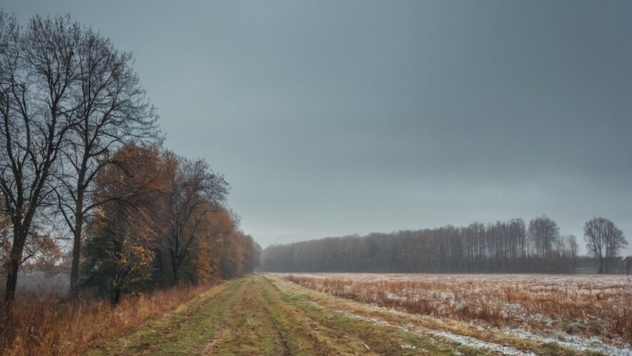    Фото: создано ИИ