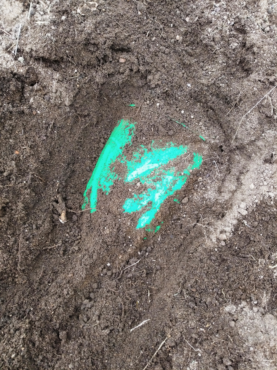 вот таким образом ведро с растением полностью закапывается в грунт теплицы (грядку)