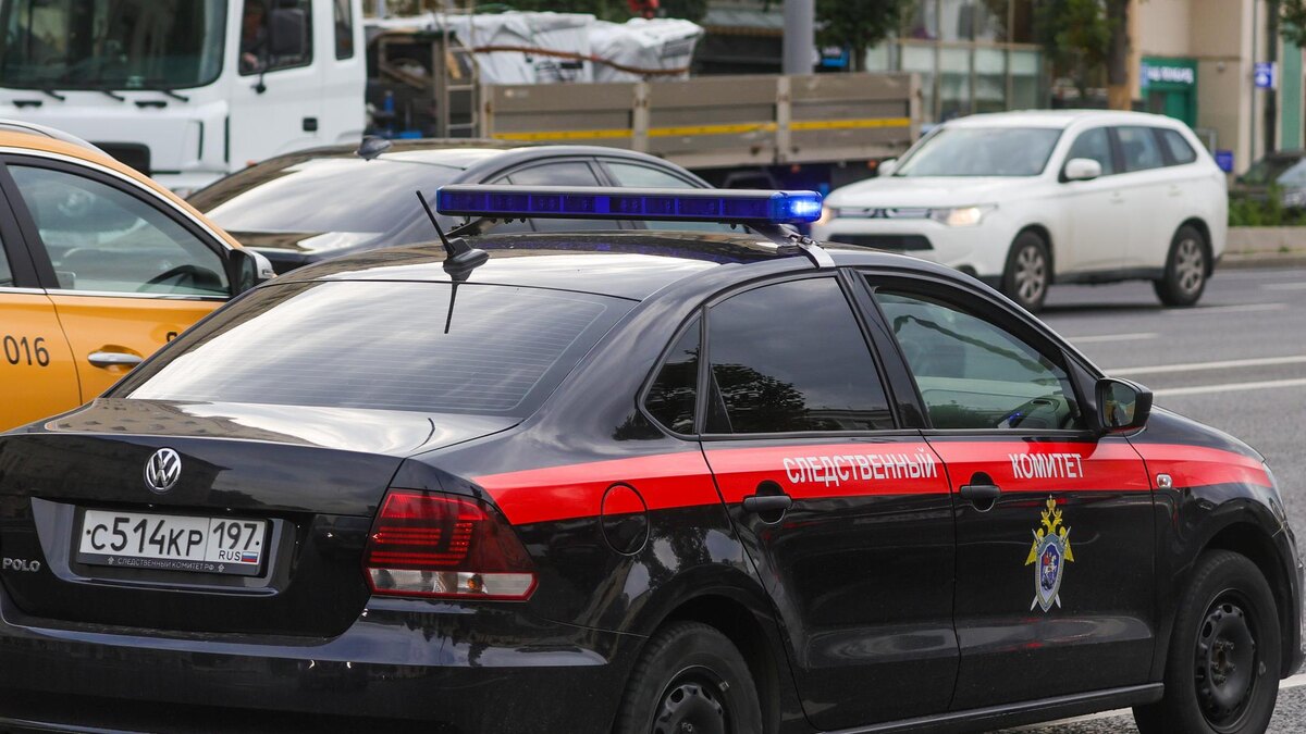    Фото: globallookpress.com/Shatokhina Natalia