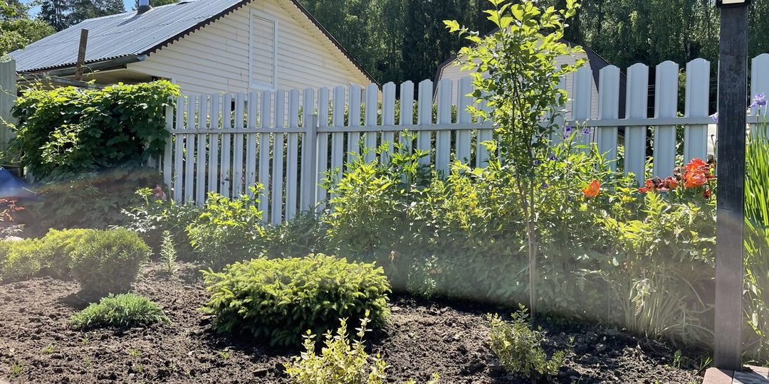 Саженец саженцу рознь. Почему лучше брать местные саженцы – рассказывает главный агроном