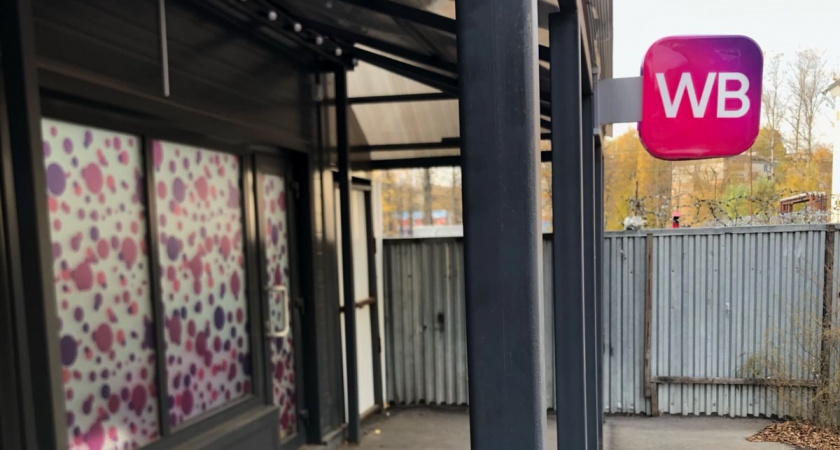    13 супер удачных товаров для дома и быта с Wildberries: бюджетные и качественные - проверено на себе