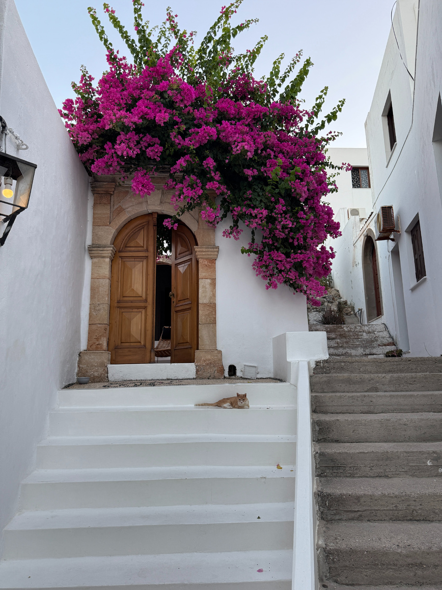 Эти двери — молчаливые стражи истории. Они не расскажут вам даты постройки Акрополя, но они расскажут о людях, которые здесь живут. Об их стремлении к красоте, их любви к своему дому, их желании создать идеальный, гармоничный мир в рамках одного проема.

