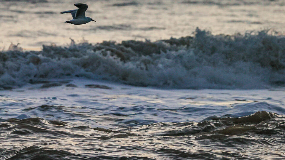     Землетрясение произошло в Черном море у берегов Турции Сергей Мальгавко/ТАСС