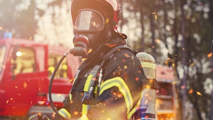    Фото: VAKS-Stock Agency / Shutterstock / Fotodom