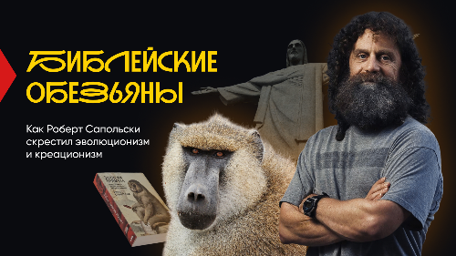 Сапольски и павиан