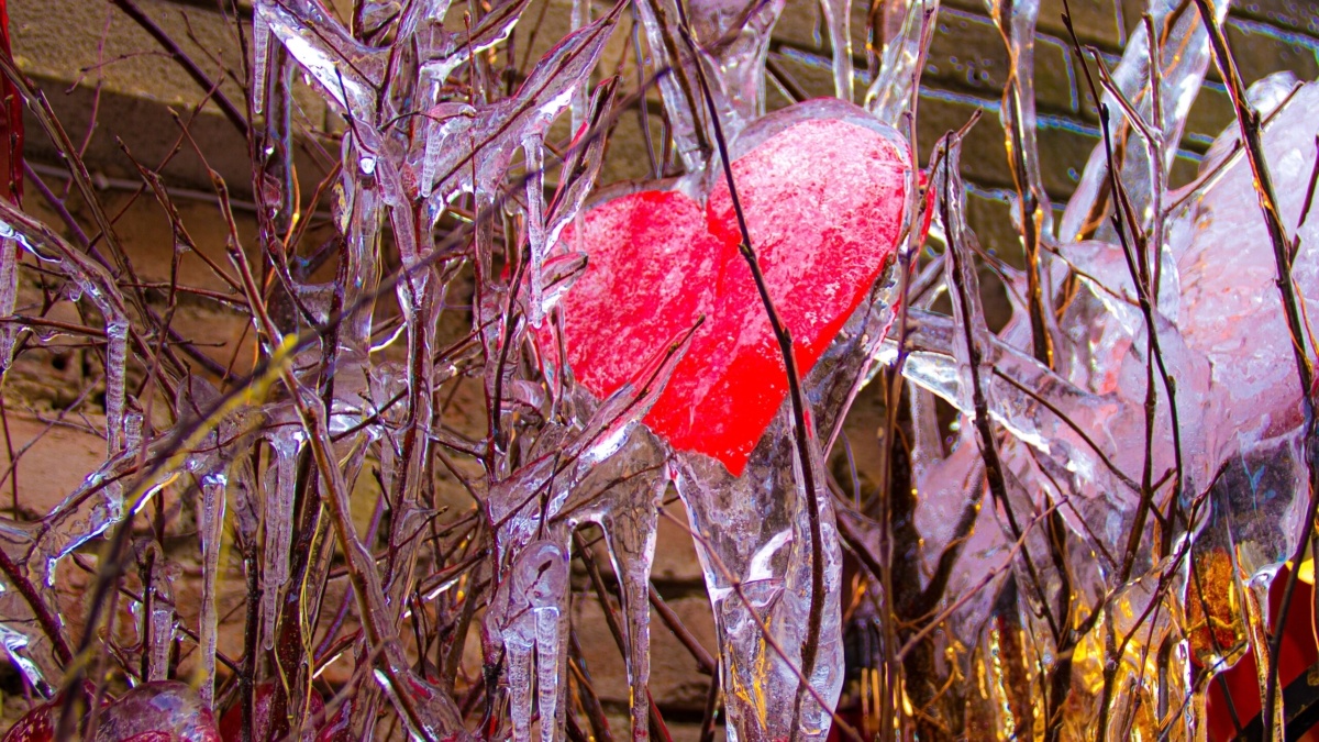 Фото: ИА SM-News📷
