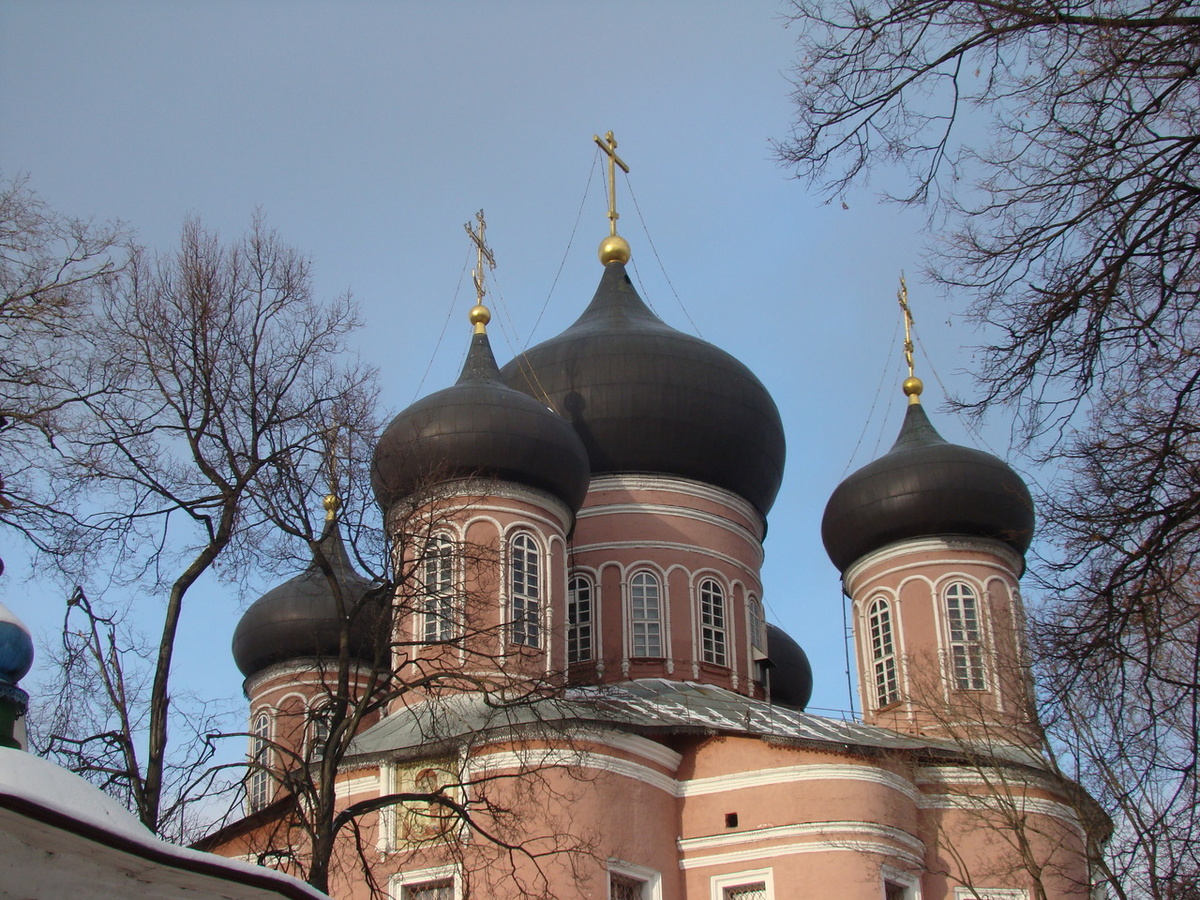   Фото: по лицензии CC0 Pxhere.com