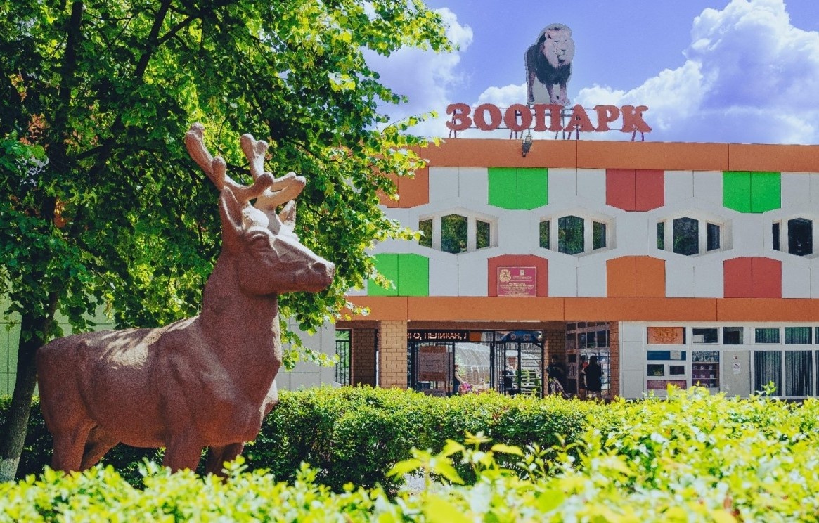 Фото с : https://clck.ru/3Q3znm