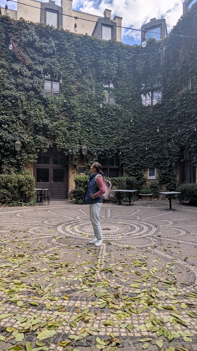 Научился фотографировать, вот спасибо ему. 