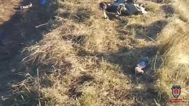 Место, где погиб мальчик.