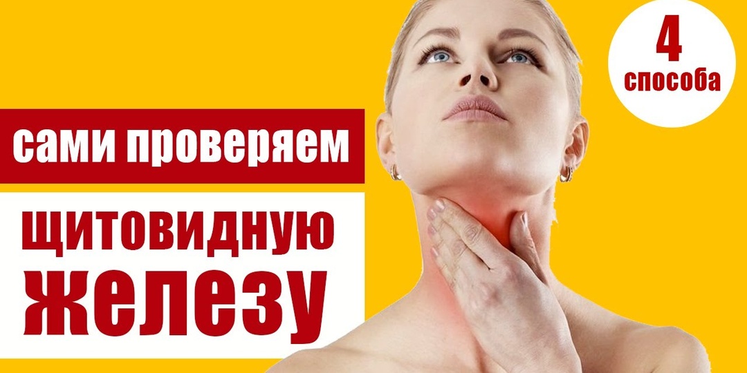 Как проверить щитовидку дома без анализов (чек-лист)
