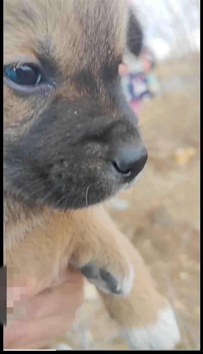 Наш найденыш.. 