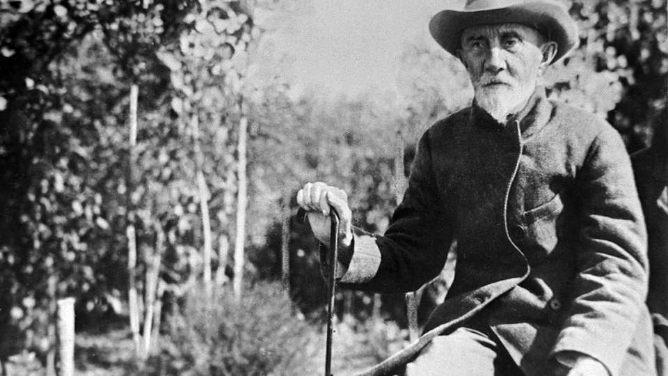 Скрестил черёмуху с вишней и делал деревьям уколы: великому селекционеру Ивану Мичурину - 170 лет