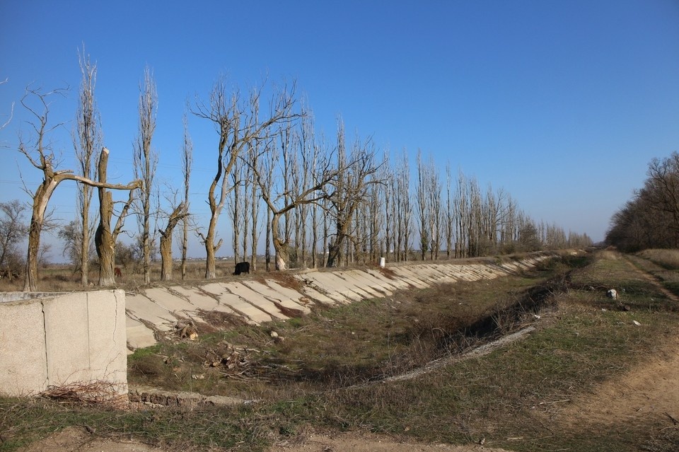   Надежда ДАЦЮК