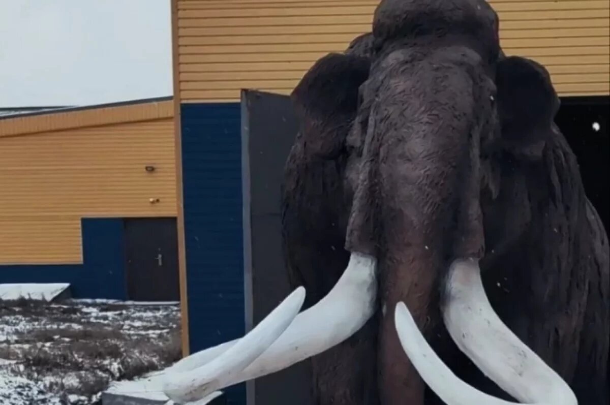    Мамонт из Братска заинтересовал жителей из Иркутской области