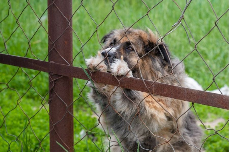 Фото из архива «МП»