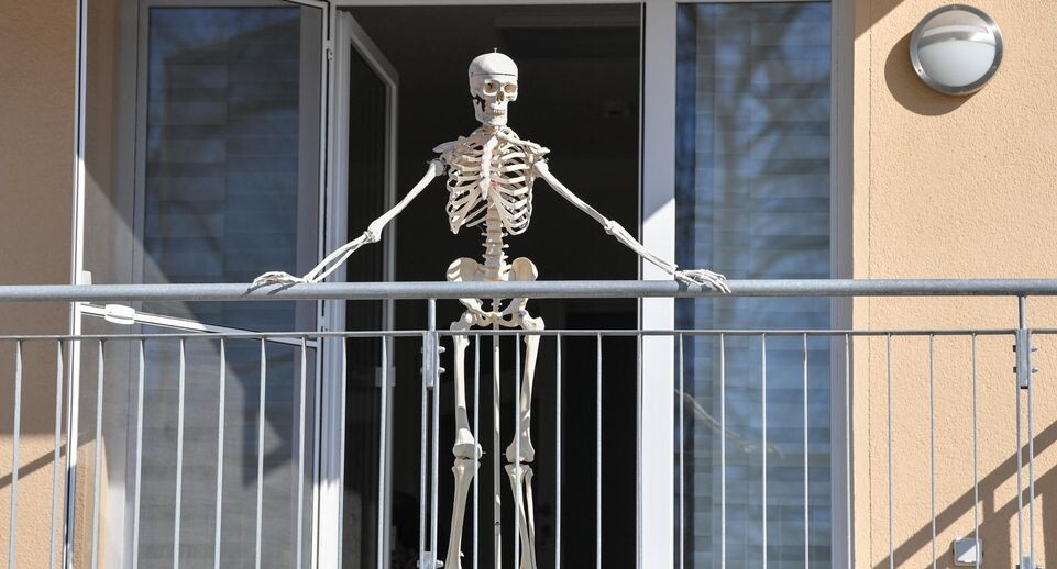    Patrick Pleul/dpa / www.globallookpress.com