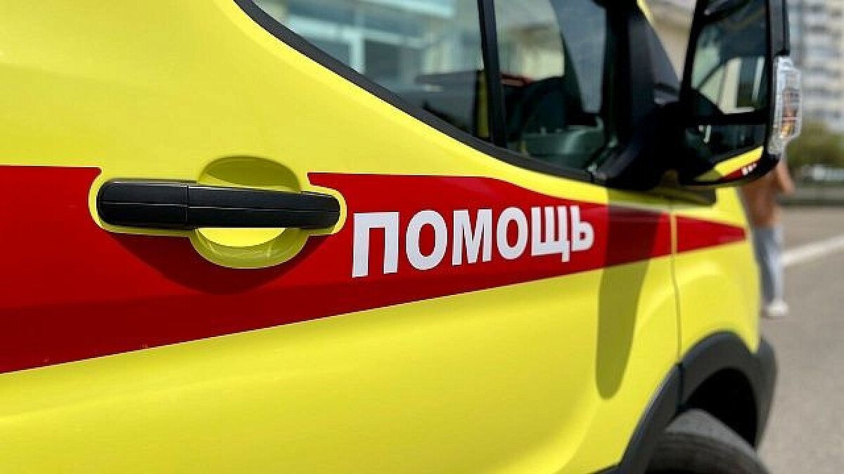    Фото: телеканал «Краснодар»